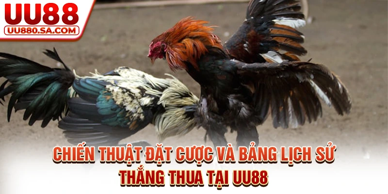 Chiến thuật đặt cược và bảng lịch sử thắng thua tại UU88